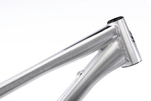 Laden Sie das Bild in den Galerie-Viewer, Banshee Anomaly Frameset - Raw