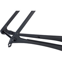 Laden Sie das Bild in den Galerie-Viewer, Salsa WarBird Carbon Frame