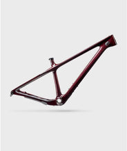 Cargar imagen en el visor de la galería, Yeti Cycles ARC T-Series 29&quot; Frame